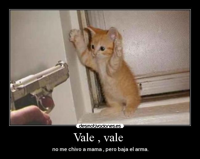 Vale , vale -