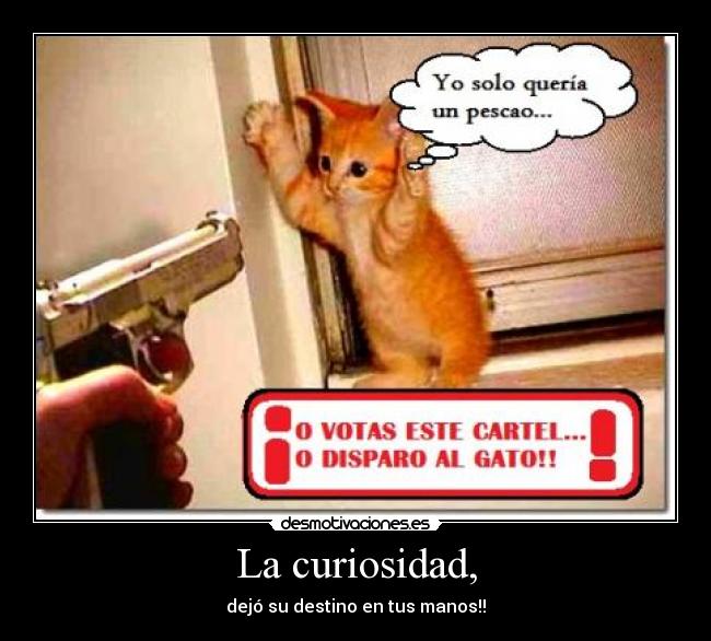 La curiosidad, -
