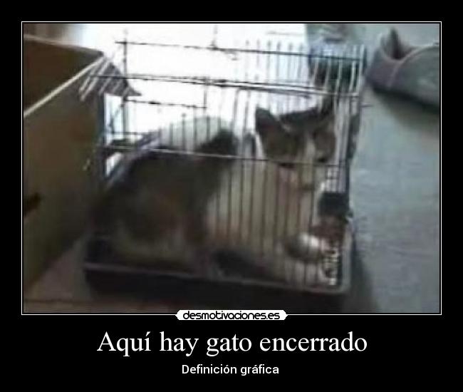 Aquí hay gato encerrado - Definición gráfica 