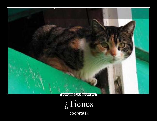 ¿Tienes -