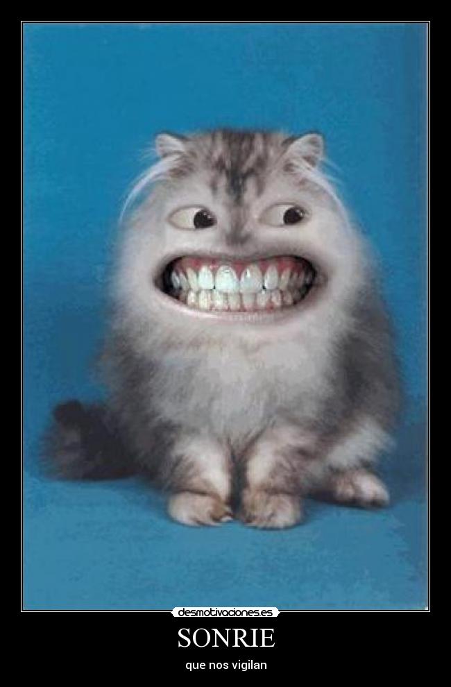 SONRIE -
