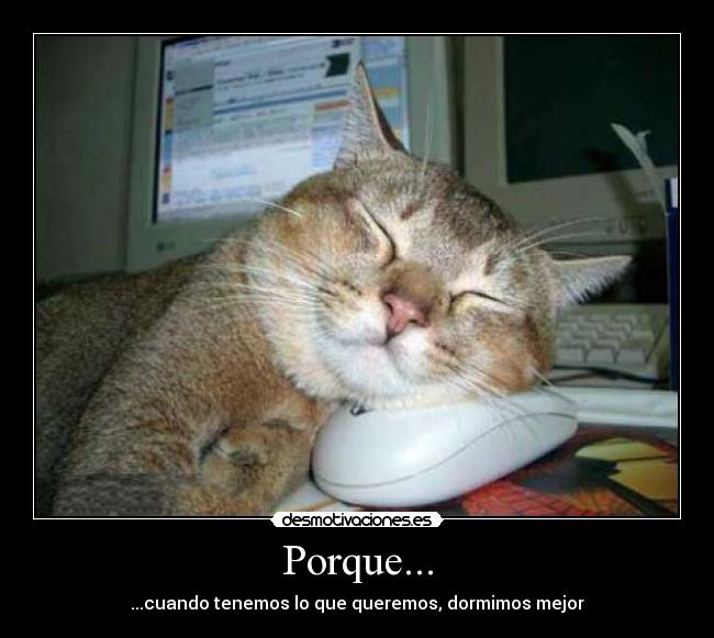 Porque... -