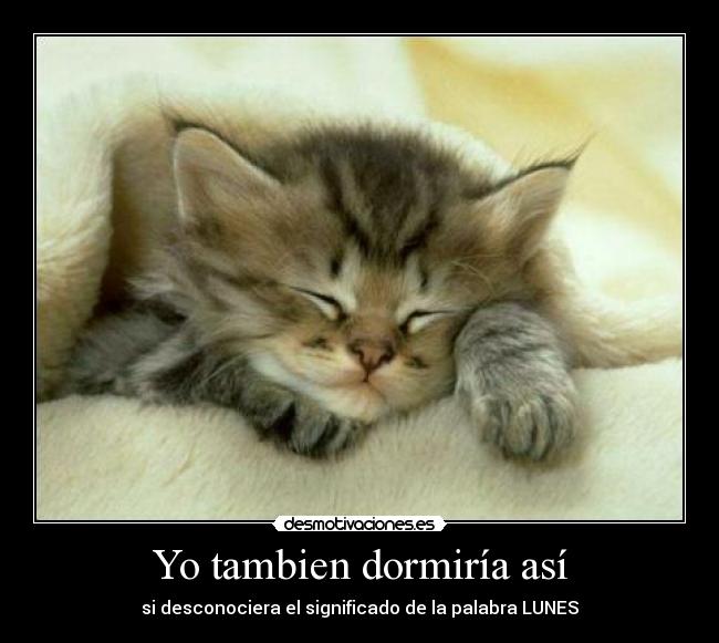 Yo tambien dormiría así - 