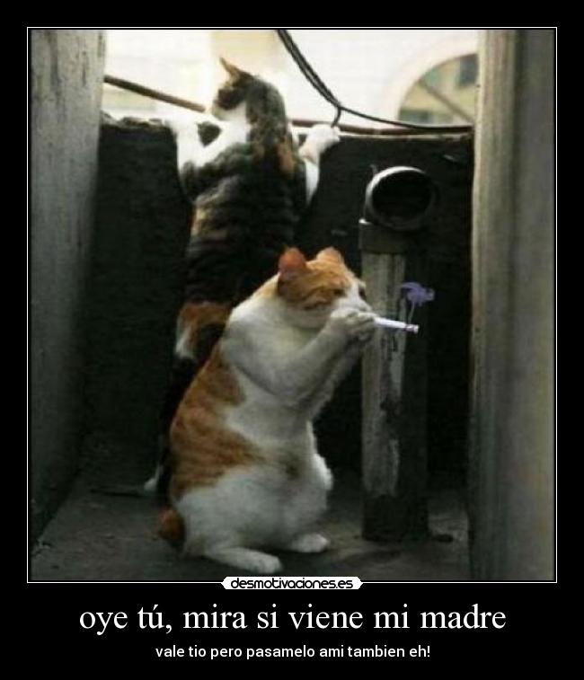 oye tú, mira si viene mi madre - 