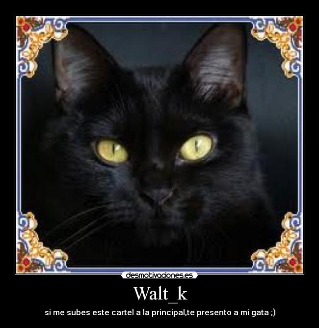 Walt_k -