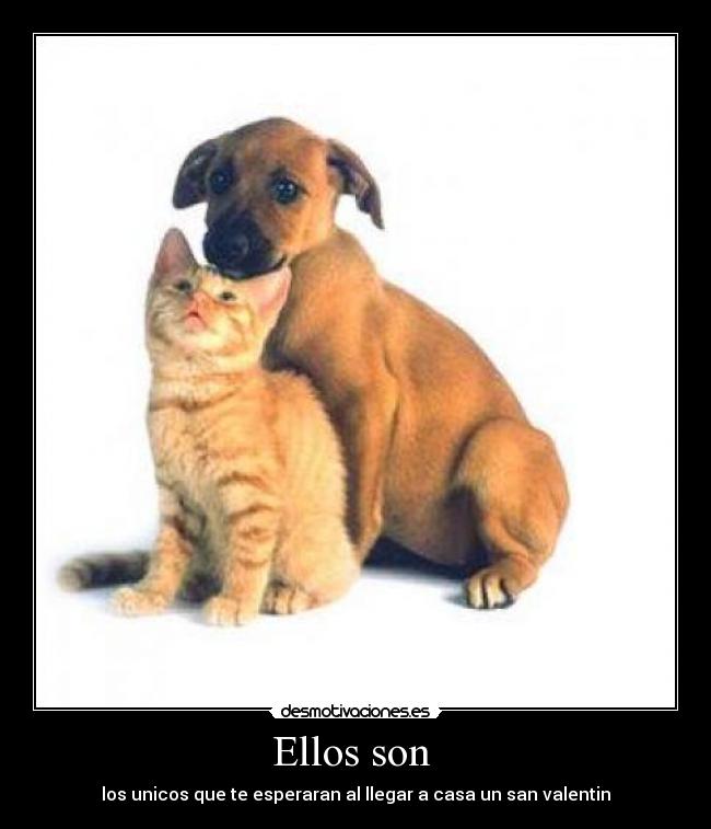 Ellos son -