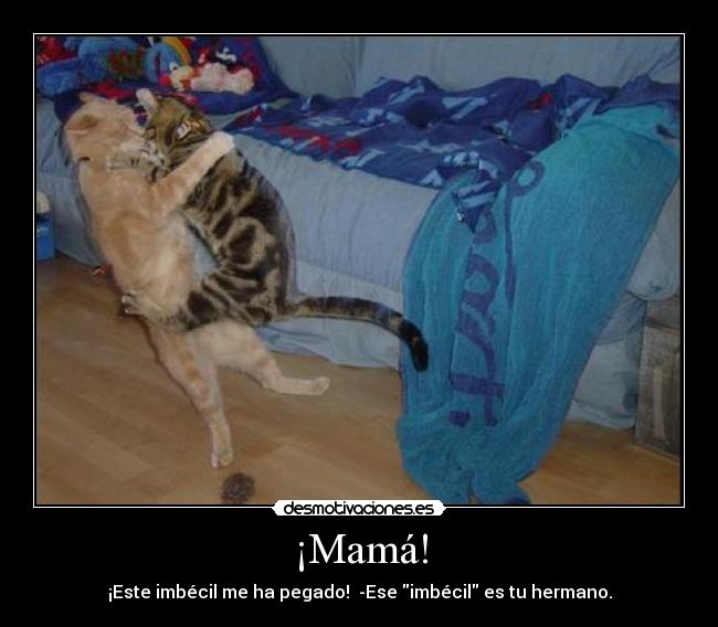 ¡Mamá! - ¡Este imbécil me ha pegado!  -Ese imbécil es tu hermano.