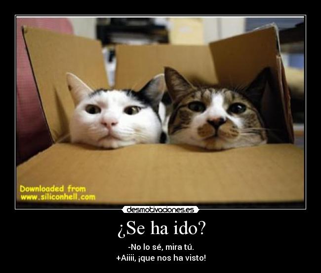 ¿Se ha ido? - 