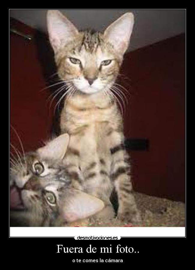 Fuera de mi foto.. - o te comes la cámara