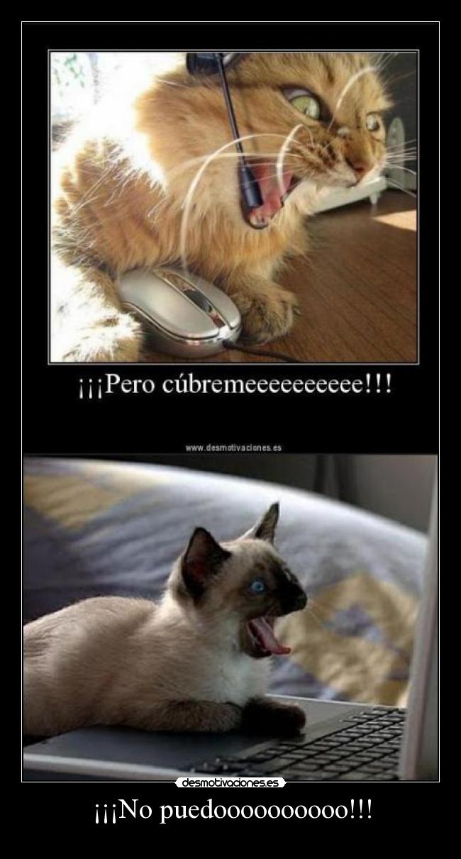 ¡¡¡No puedoooooooooo!!! - 