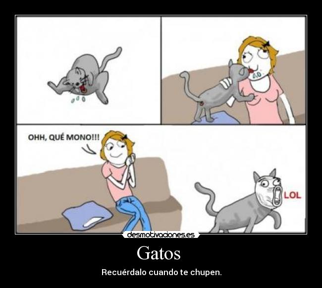 Gatos - Recuérdalo cuando te chupen.