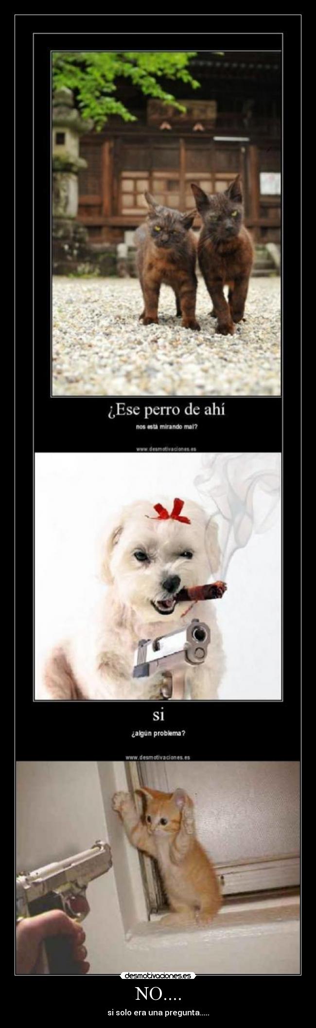 NO.... - si solo era una pregunta.....