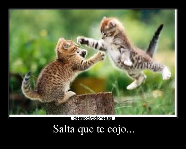 carteles jotarisas desmotivaciones