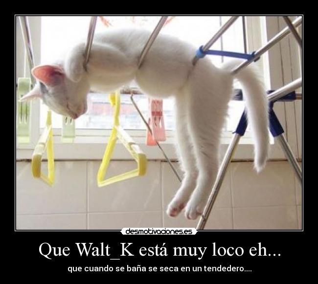 carteles walt_ktendedero desmotivaciones