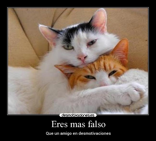 Eres mas falso - 