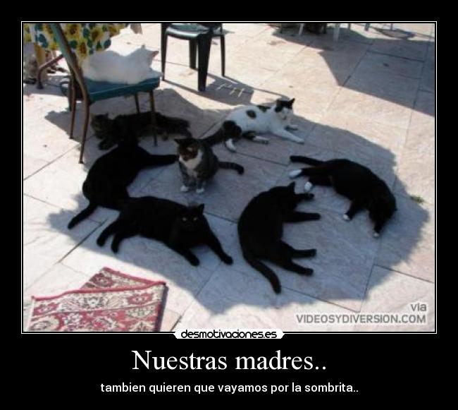 Nuestras madres.. - tambien quieren que vayamos por la sombrita..
