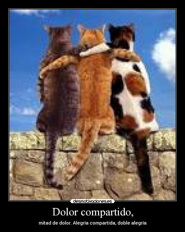 Dolor compartido, - mitad de dolor. Alegría compartida, doble alegría