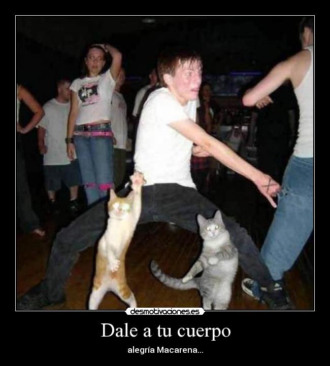 Dale a tu cuerpo - alegría Macarena...