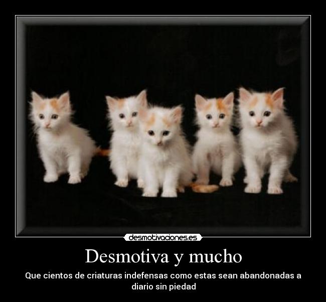 Desmotiva y mucho -