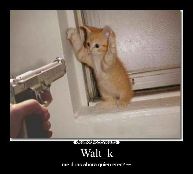 Walt_k - me diras ahora quien eres? ¬¬