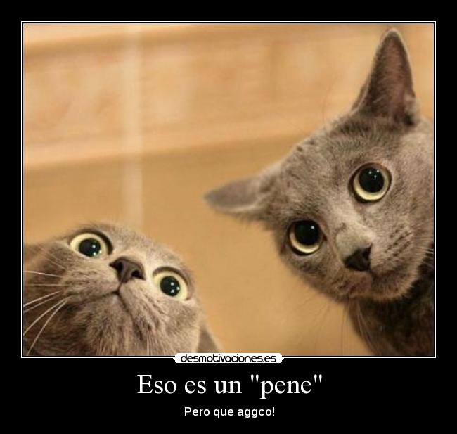 carteles principal desmotivaciones