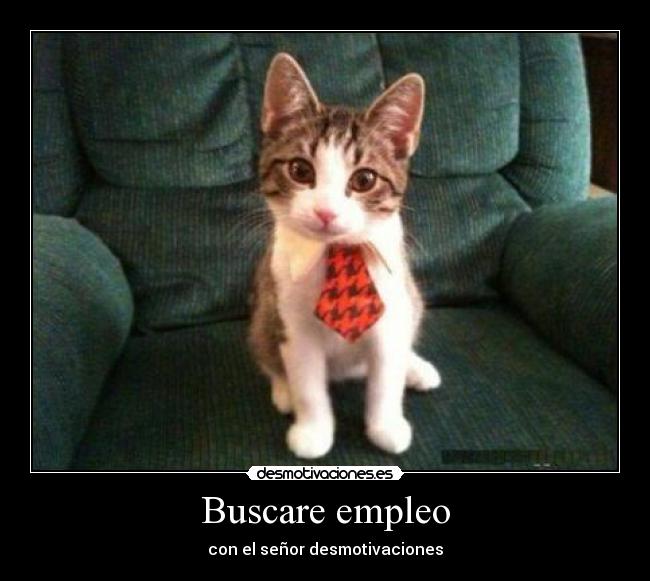 Buscare empleo -
