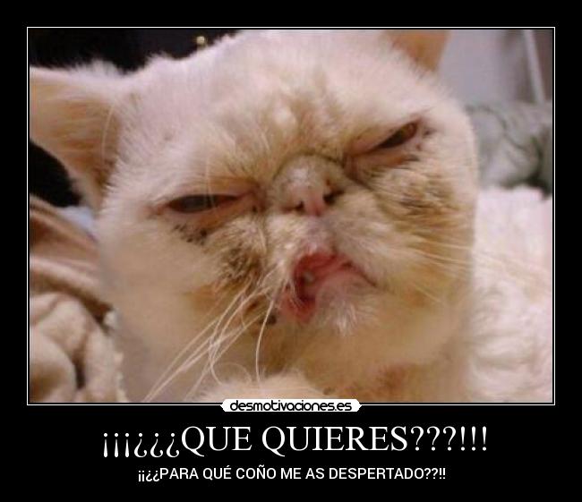 ¡¡¡¿¿¿QUE QUIERES???!!! -