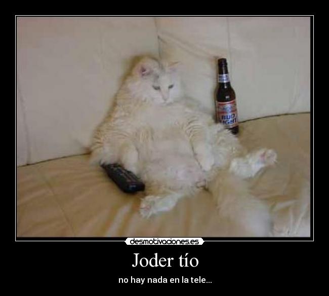 Joder tío - no hay nada en la tele...