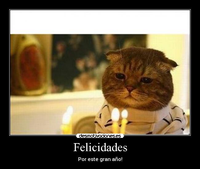 Felicidades - Por este gran año!