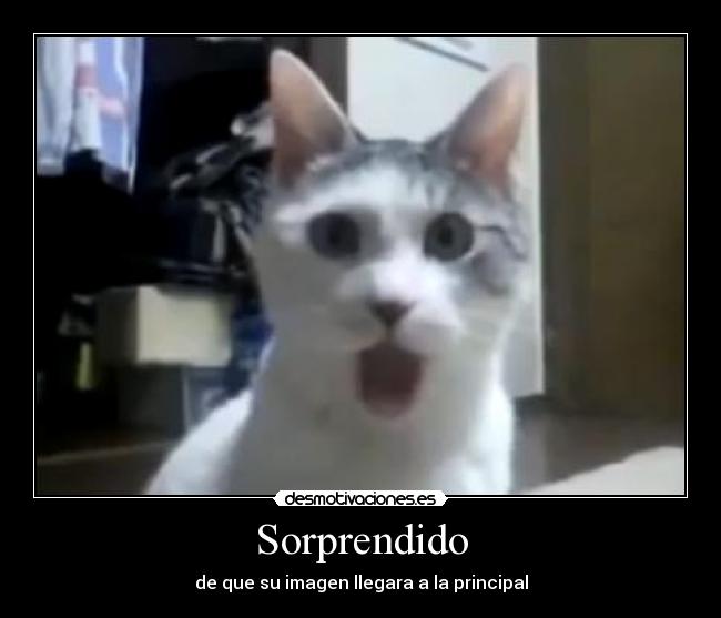 Sorprendido -