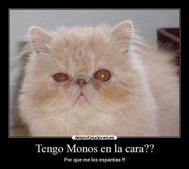 Tengo Monos en la cara?? - Por que me los espantas !!!