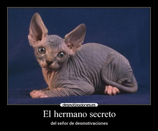 El hermano secreto - 