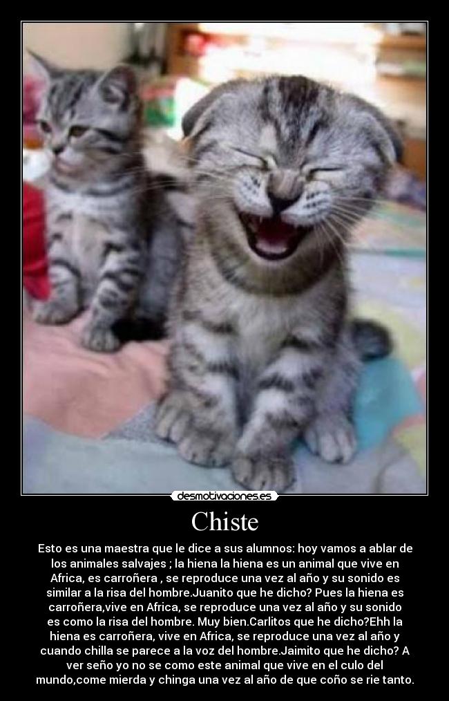 Chiste -