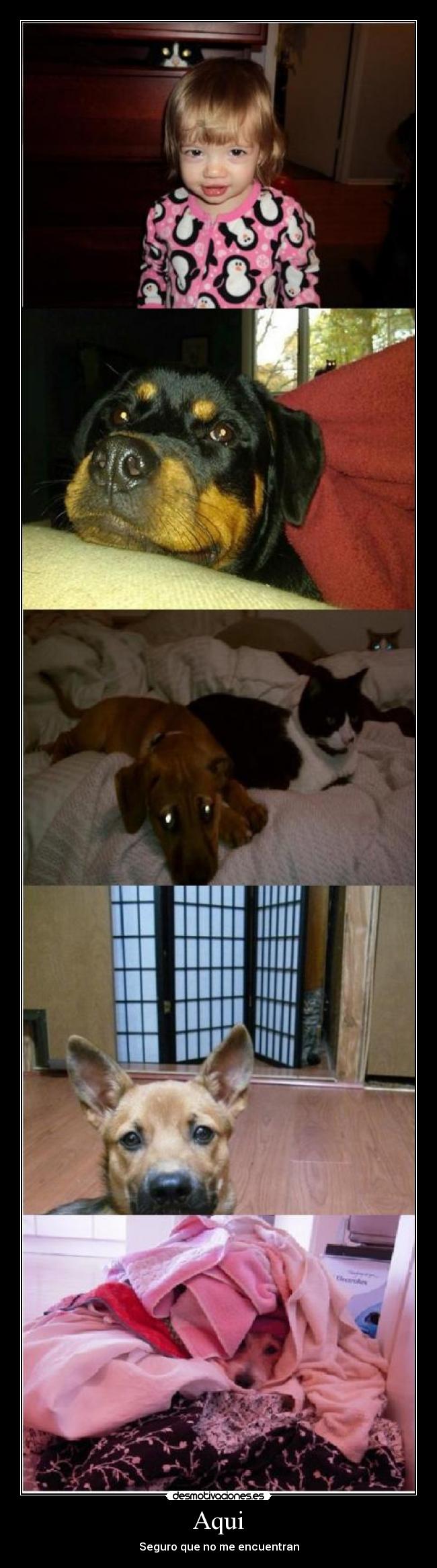 Aqui - Seguro que no me encuentran