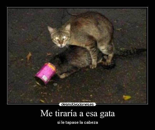 Me tiraría a esa gata -