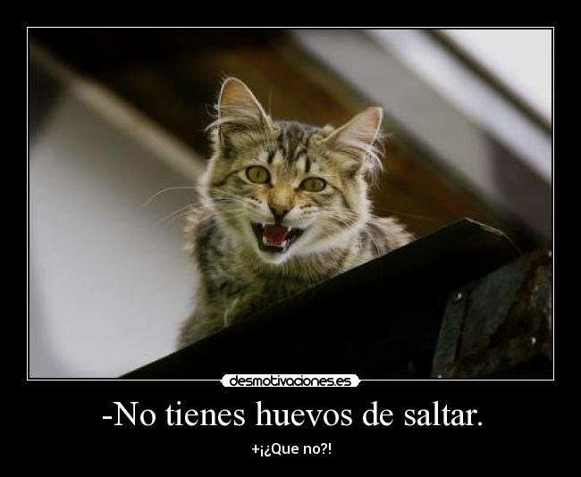 -No tienes huevos de saltar. - +¡¿Que no?!