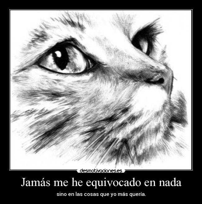 Jamás me he equivocado en nada -