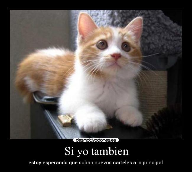 Si yo tambien - 