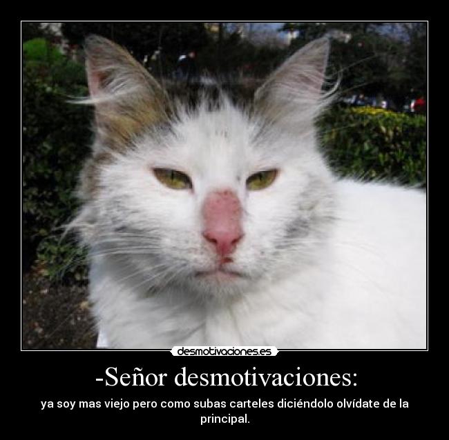 carteles desmotivaciones senor desmotivaciones desmotivaciones