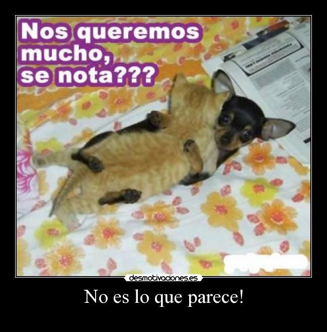 carteles aja desmotivaciones