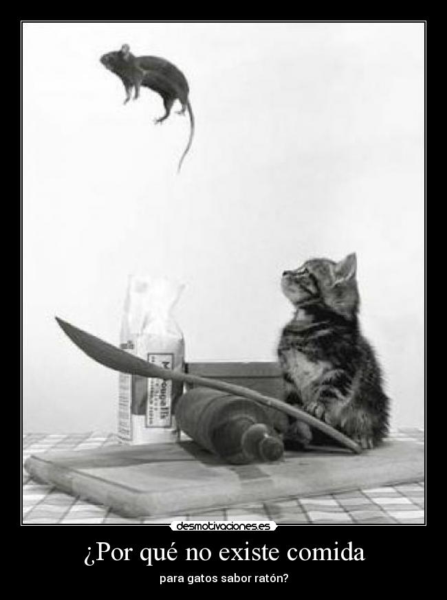 ¿Por qué no existe comida - para gatos sabor ratón?