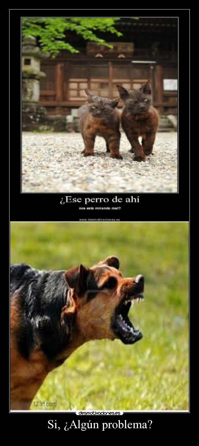 Si, ¿Algún problema? -