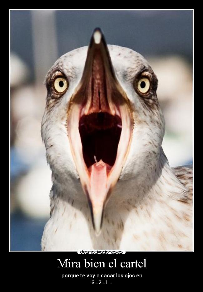 Mira bien el cartel - 