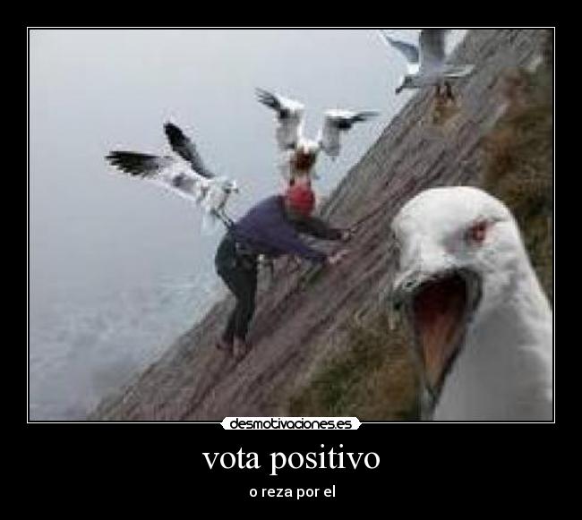 vota positivo - 