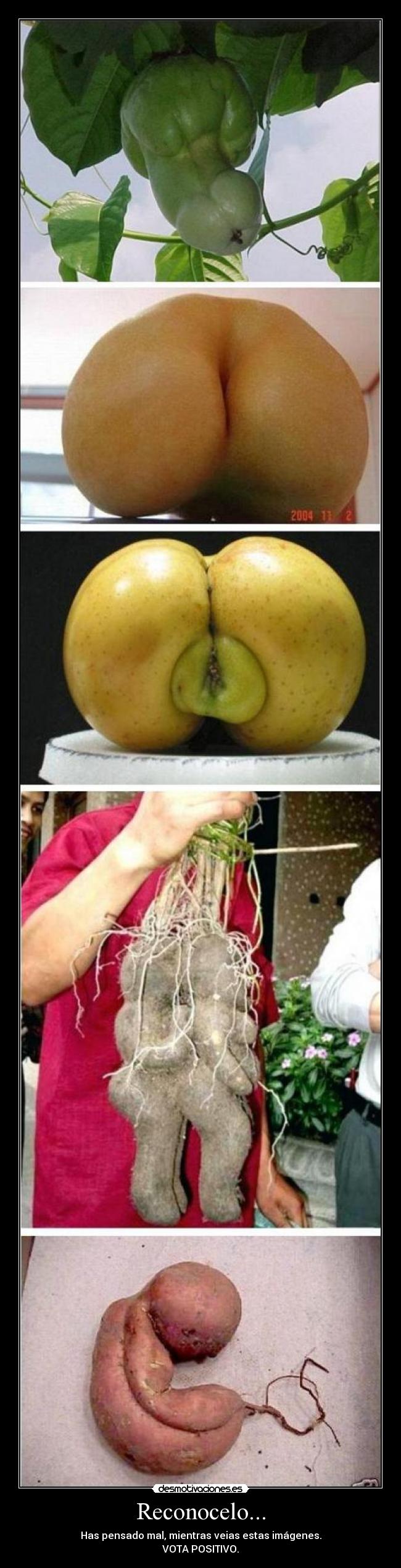 Reconocelo... -