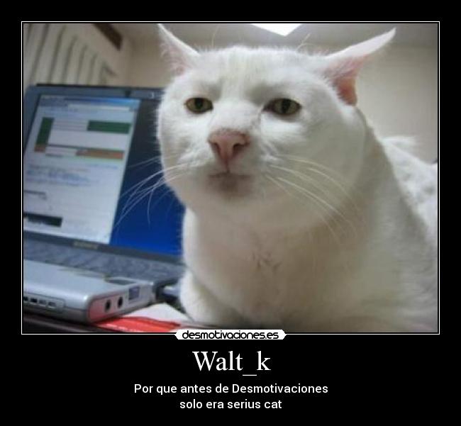 Walt_k - 