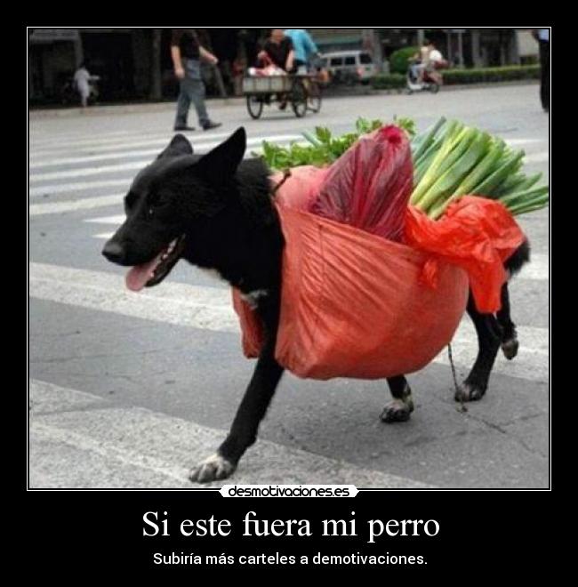Si este fuera mi perro - 