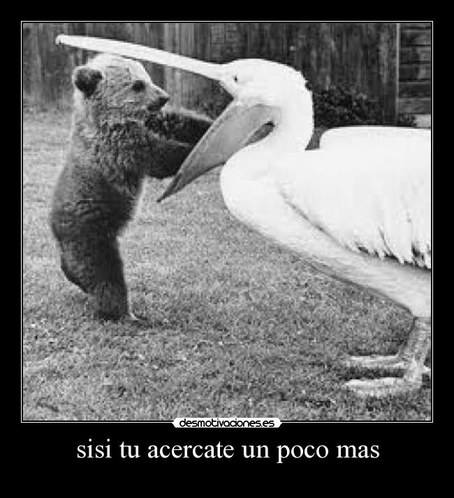 carteles sisi acercate poco mas desmotivaciones