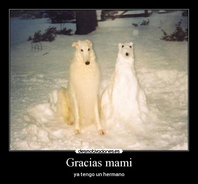 Gracias mami - ya tengo un hermano
