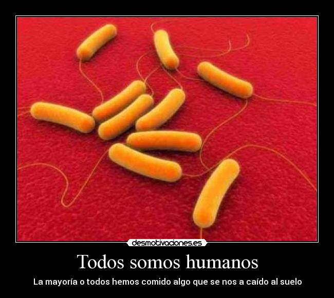 Todos somos humanos -